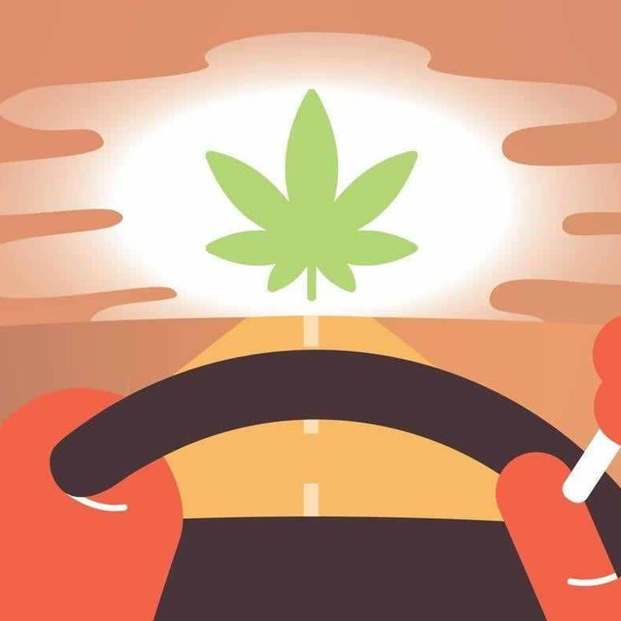 Marijuana & Driving: Can I Drive While High? | Marijuana & Driving: Can I Drive While High? | BlackboxMyCar