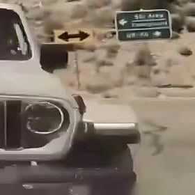 Dash Cam Captures Shocking Hit-and-Run on Mount Charleston, Nevada | Dash Cam Captures Shocking Hit-and-Run on Mount Charleston, Nevada | BlackboxMyCar